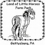 Land of the Little Horses Farm Park