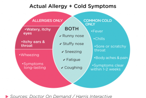 allergy diagram